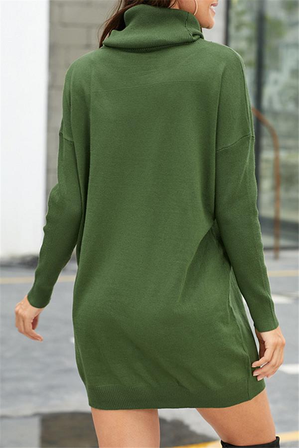 Wolffmode Turtleneck Pullover Dress with Belt