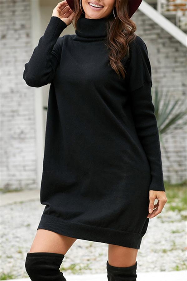 Wolffmode Turtleneck Pullover Dress with Belt