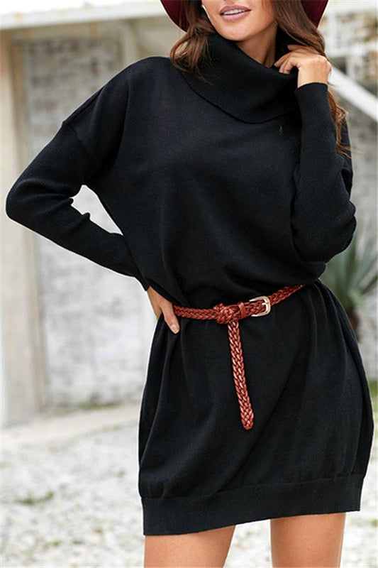 Wolffmode Turtleneck Pullover Dress with Belt